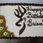 adult_cakes_004
