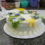 adult_cakes_014