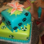 youth_cakes_000