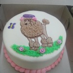 youth_cakes_014